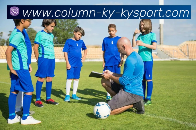 App Interface Preview